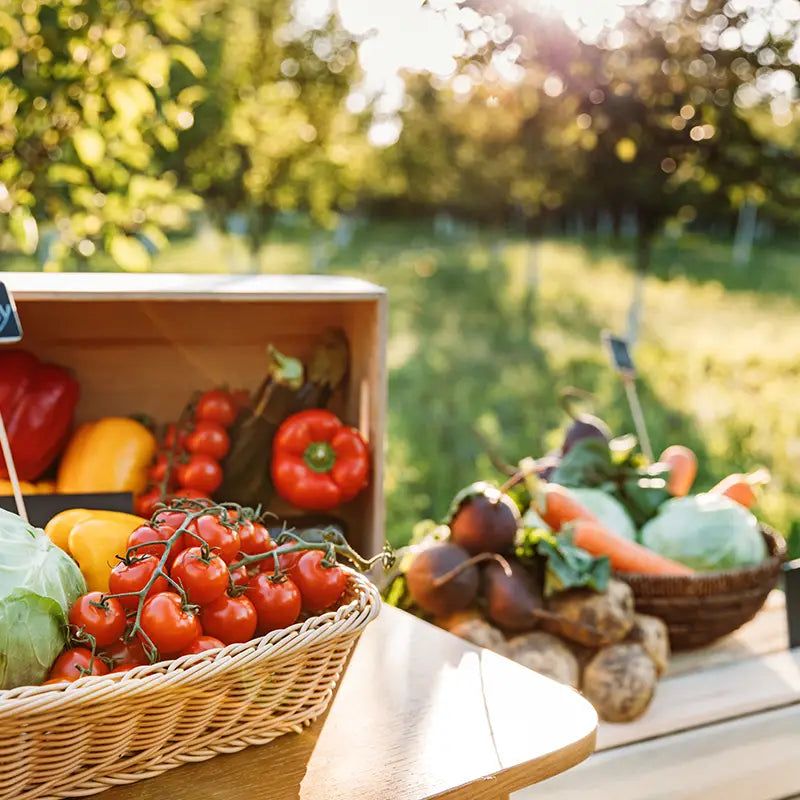 1 BUND WURZELWERK WAS IST DAS visual data 6