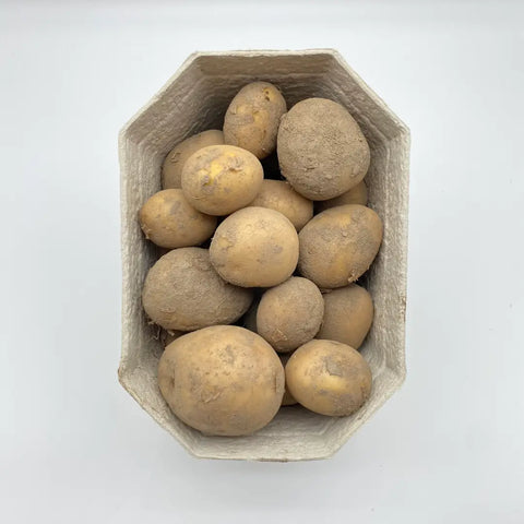 Bio Kartoffeln speckig (Ditta)