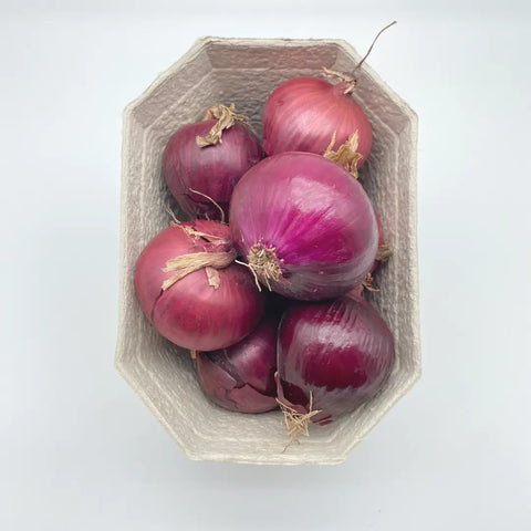 Bio Zwiebel rot