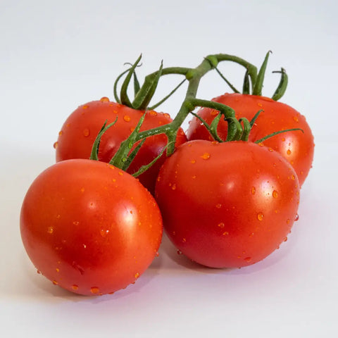 Bio Tomaten