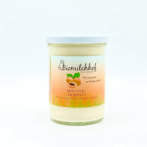 Bio Joghurt Marille 400g