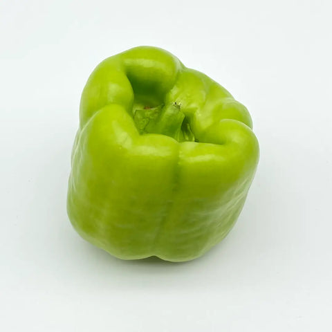 Bio Paprika grün