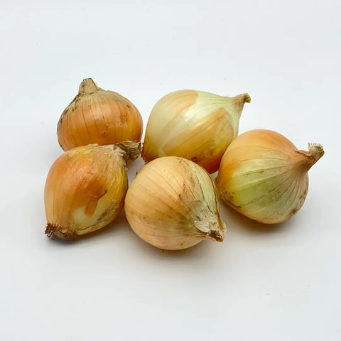 Bio Zwiebel gelb