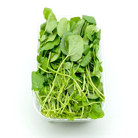 Bio Winterkresse