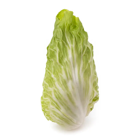 Bio Zuckerhut