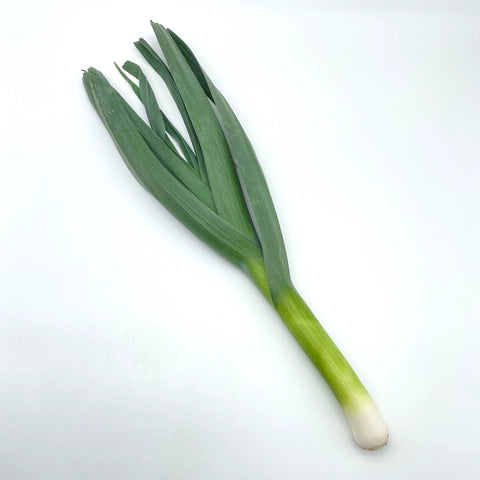 Bio Porree
