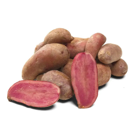 Bio Kartoffelrarität "Rote Emma"