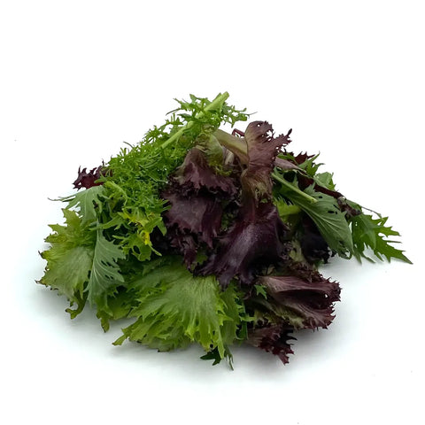Bio Asia Blattsalat-Mix ca. 100g