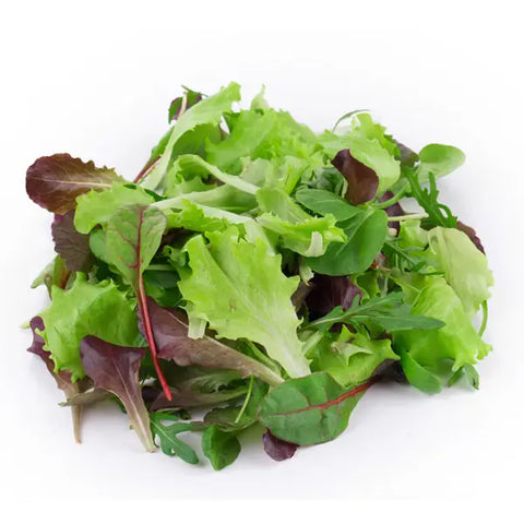 Bio Babyleave-Salat