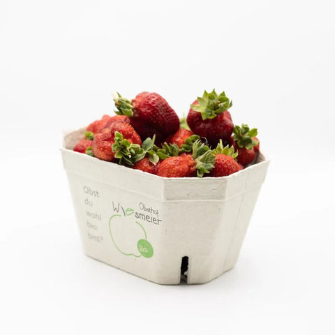Bio Erdbeeren