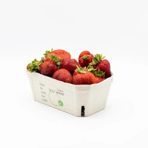 Bio Erdbeeren