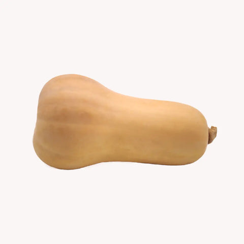 Bio Butternusskürbis