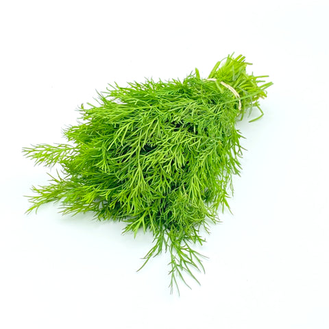 Bio Dille Bund