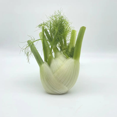 Bio Fenchel