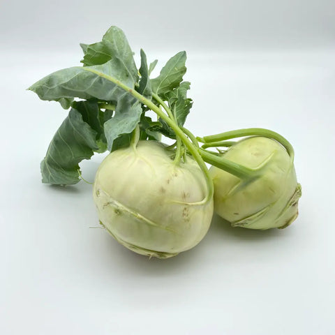 Bio Kohlrabi "Superschmelz" - groß