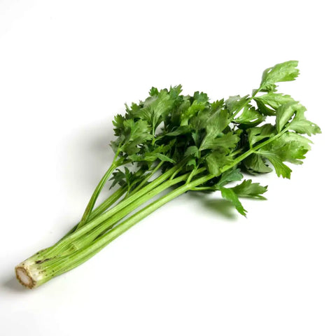 Bio Stangensellerie