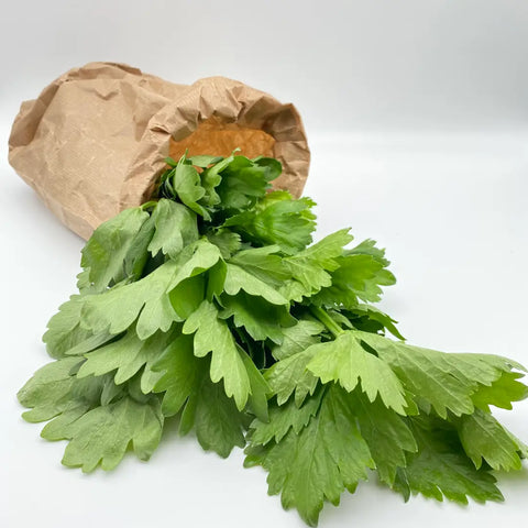 Bio Stangensellerie