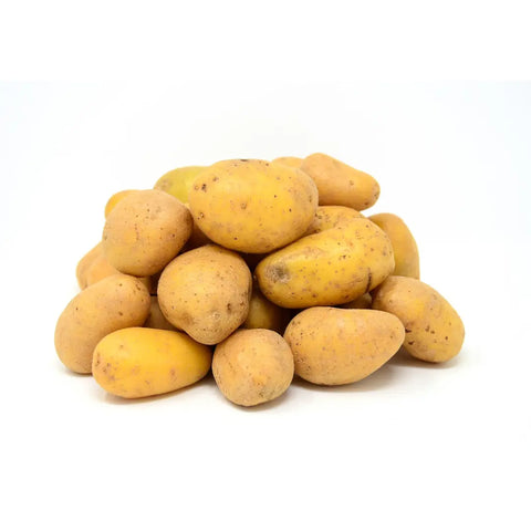 Bio Kartoffeln mehlig (Agria)