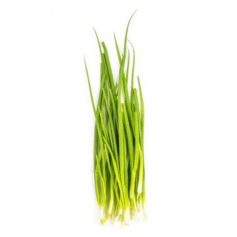 Bio Schnittlauch Bund