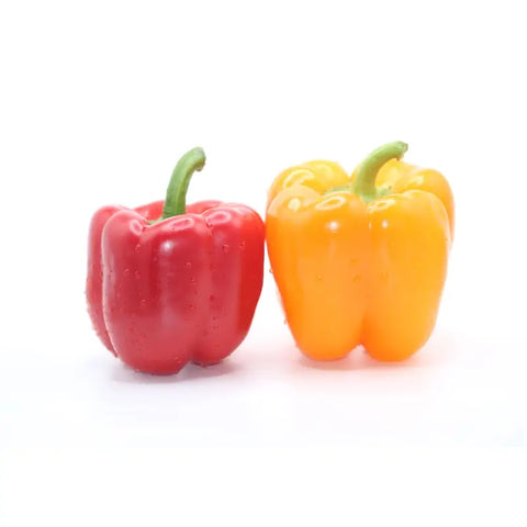 Bio Paprika rot/gelb