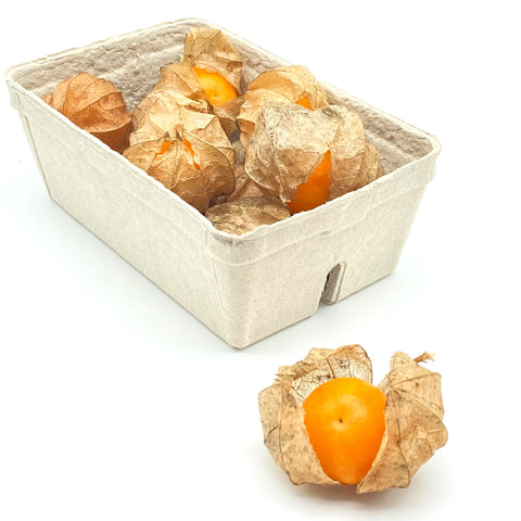 Bio Physalis 100g