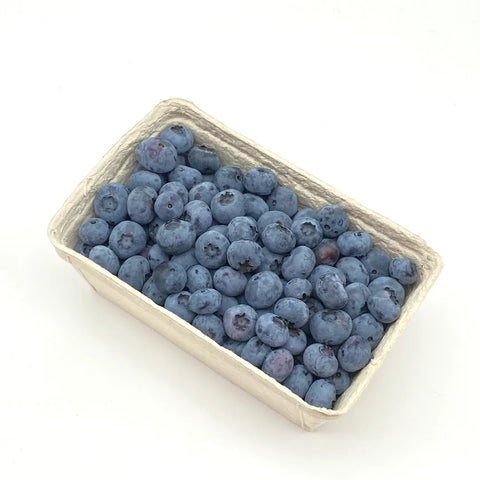 Bio Heidelbeeren