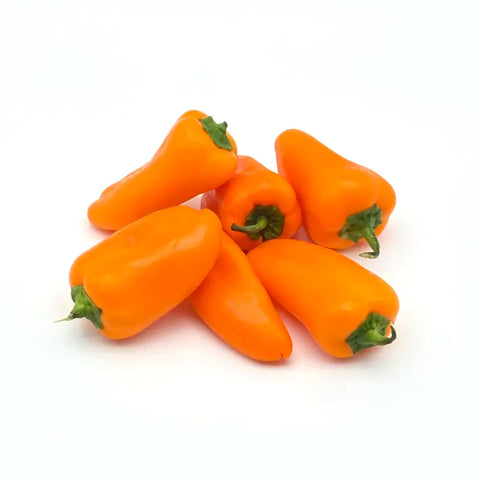 Bio Snack-Paprika