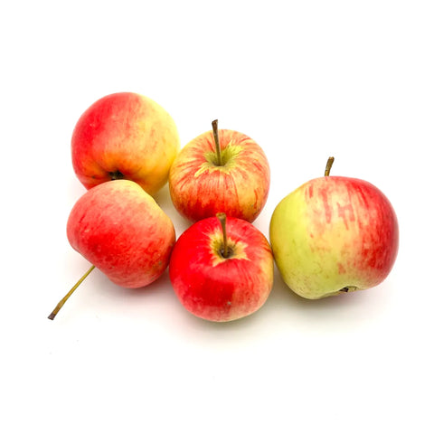 Bio Sommerapfel "Nela" 1kg