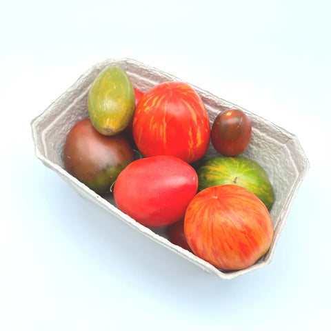Bio Tomatenraritäten