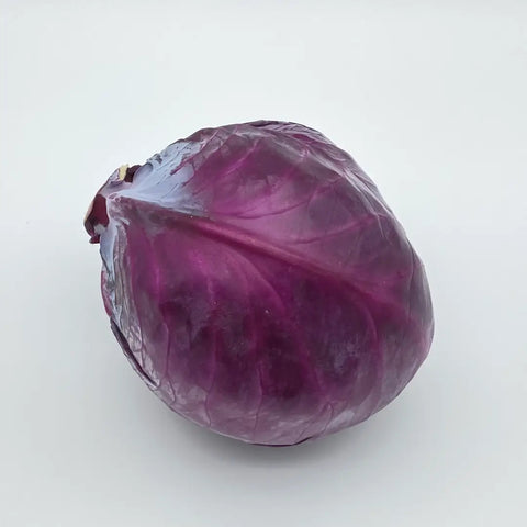 Bio Blaukraut