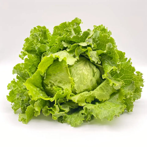 Bio Eissalat