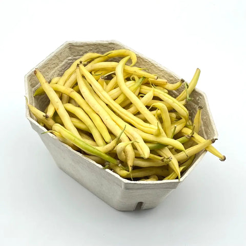 Bio Fisolen