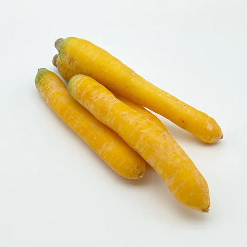 Bio Karotten gelb