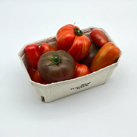 Bio Tomatenraritäten