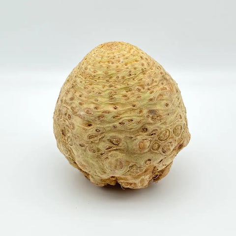 Bio Sellerie