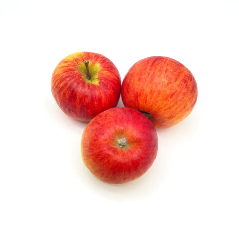 Bio Äpfel "Gala" 1kg