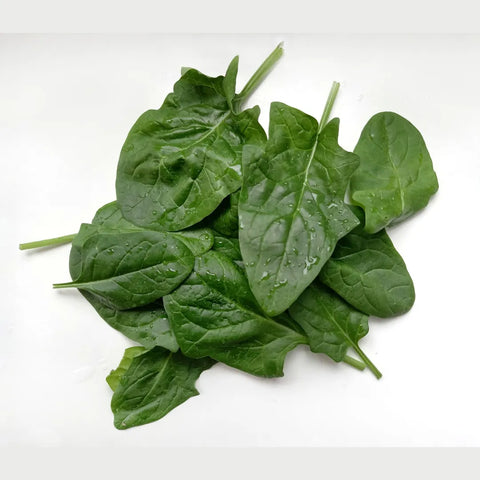 Bio Spinat ca. 200g