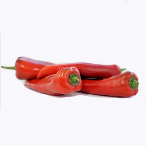 Bio Spitzpaprika rot/orange